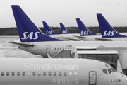 SAS lineup of a MD80 and several Boeing 737s at the domestic terminal at Stockholm/Arlanda