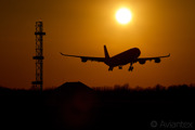 An Airbus A340-300 about land at Copenhagen/Kastrup at sunset