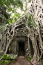 Ta Prohm, Cambodia