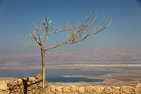 The Dead Sea and Massada ruins, Israel