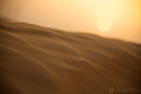 Sunset over desert, United Arab Emirates