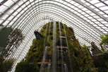 The cloud forest at Garden by the Bay