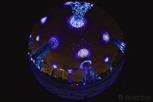 Garden by the Bay as seen from a fish eye perspective