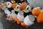 Puffin cuddly toys in an icelandic souvenir shop