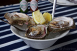 Oysters, Knysna