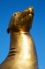 The golden fur seal outside The Table Bay Hotel