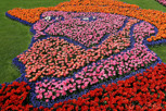 The yearly tulip picture in shape of Vincent van Gogh, Keukenhof