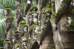 Statues at Buddha Park