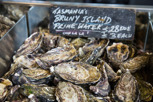 Tasmanian oysters at Sydney Fish Market