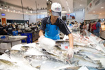Sydney Fish Market, New South Wales