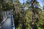 The Otway Treetop Walk, Victoria
