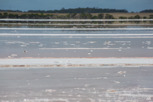 Salt lake at Kangaroo Island