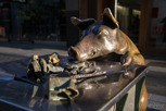 Rundle Mall Four Pigs statues, Adelaide