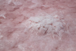 Salt crystals at the pink Bumbunga Lake, South Australia
