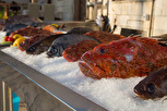 Exclusive fish restaurant, Hvar