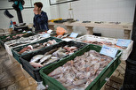 Fish market, Split