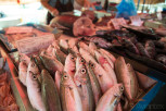Fish market, Marsaxlokk