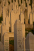 Gravestones at the Sarajevo Central Cemetery