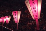 Lanterns and cherry blossoms at Meguro River, Tokyo