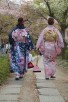 Japanese women strolling along Philospher's Path, Kyoto