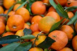 Oranges at Souk El Tayeb, Beirut