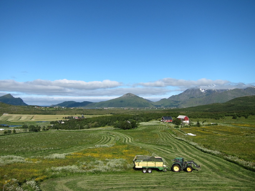 Lofoten! Lofoten!