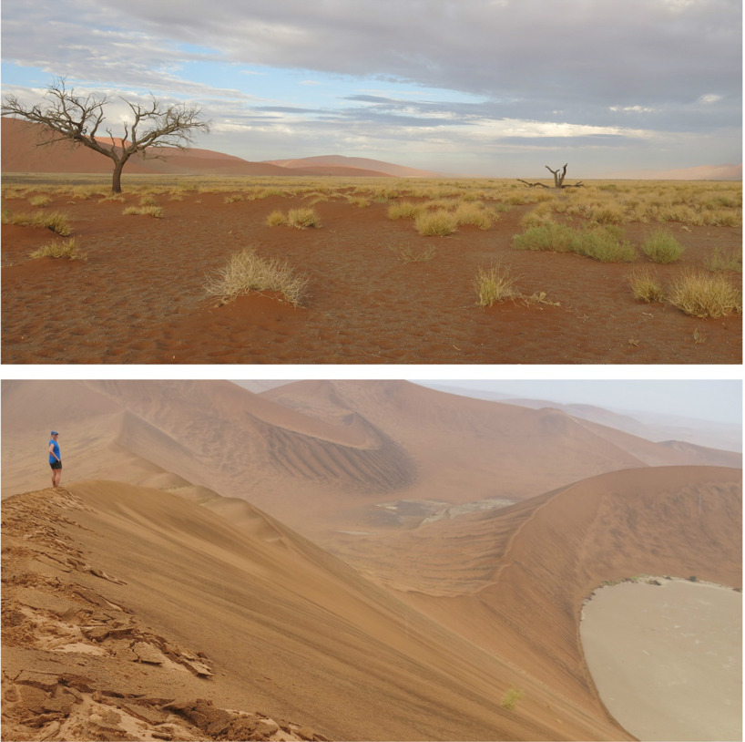 Sossusvlei i Namibia med sina stora sanddynor! Sossusvlei i Namibia med sina stora sanddynor!