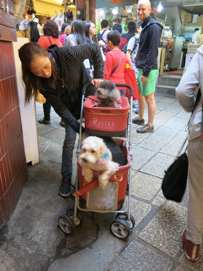 Det gäller att husdjuren får se Taiwans turistattraktioner också =) Det gäller att husdjuren får se Taiwans turistattraktioner också =)