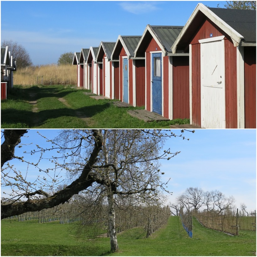 Vi tog oss en extra tur ner till Skåne! Vi tog oss en extra tur ner till Skåne!