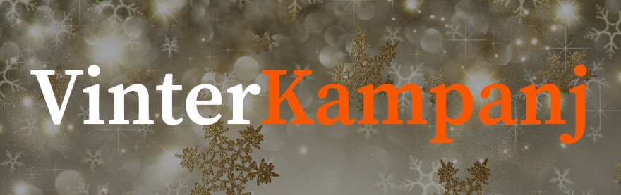 VinterKampanj på Vedeldade spisar & Kaminer hos Spis & Kaminboden
