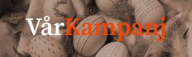 VinterKampanj på Vedeldade spisar & Kaminer hos Spis & Kaminboden VinterKampanj på Vedeldade spisar & Kaminer hos Spis & Kaminboden