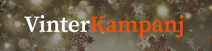 VinterKampanj på Vedeldade spisar & Kaminer hos Spis & Kaminboden VinterKampanj på Vedeldade spisar & Kaminer hos Spis & Kaminboden