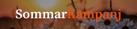 Sommarkampanj på Vedeldade spisar & Kaminer hos Spis & Kaminboden Sommarkampanj på Vedeldade spisar & Kaminer hos Spis & Kaminboden