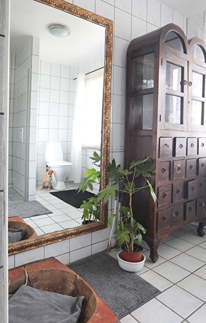 Bakom plantan finns vattenrör till ett eventuellt badkar. På bilden anar man duschdörren som vi installerade i år. Bakom plantan finns vattenrör till ett eventuellt badkar. På bilden anar man duschdörren som vi installerade i år.