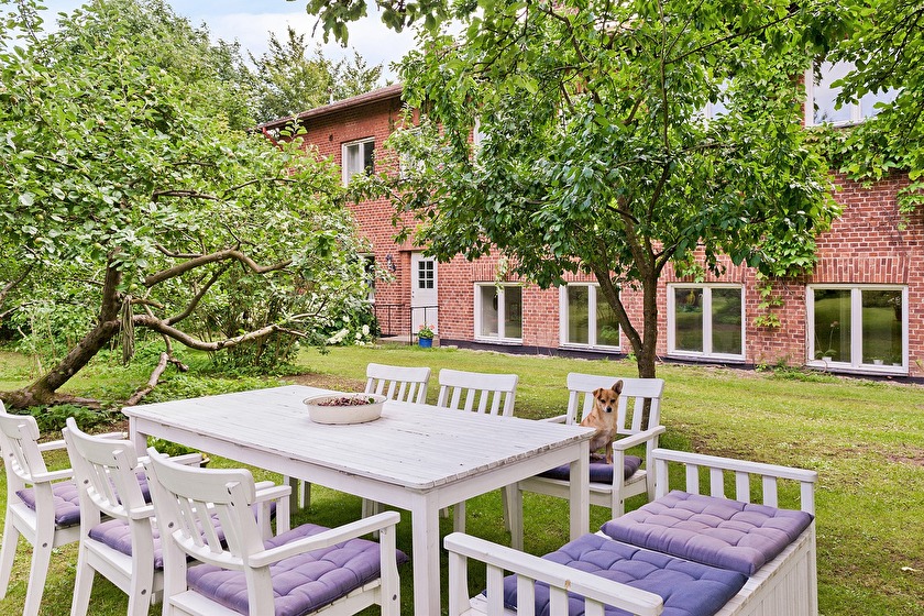 Från den stora trädgården på baksidan som är helt insynsskyddad. Det finns 11 frukträd som har gett oss rikligt med frukt i alla år. I Röstanga finns Röstånga tillsammans som har en fruktpress man kan köpa en andel i. Efter en liten introduktionskurs hos underbara Anette Nilsson, som också har tagit på sig ansvaret för fruktpressen, bokar man den på nätet och hämtar hem den. Helt underbart! Våra äpplen ger mellan 100-200 liter äppelmust om året! Bästa drycken<3 Från den stora trädgården på baksidan som är helt insynsskyddad. Det finns 11 frukträd som har gett oss rikligt med frukt i alla år. I Röstanga finns Röstånga tillsammans som har en fruktpress man kan köpa en andel i. Efter en liten introduktionskurs hos underbara Anette Nilsson, som också har tagit på sig ansvaret för fruktpressen, bokar man den på nätet och hämtar hem den. Helt underbart! Våra äpplen ger mellan 100-200 liter äppelmust om året! Bästa drycken<3