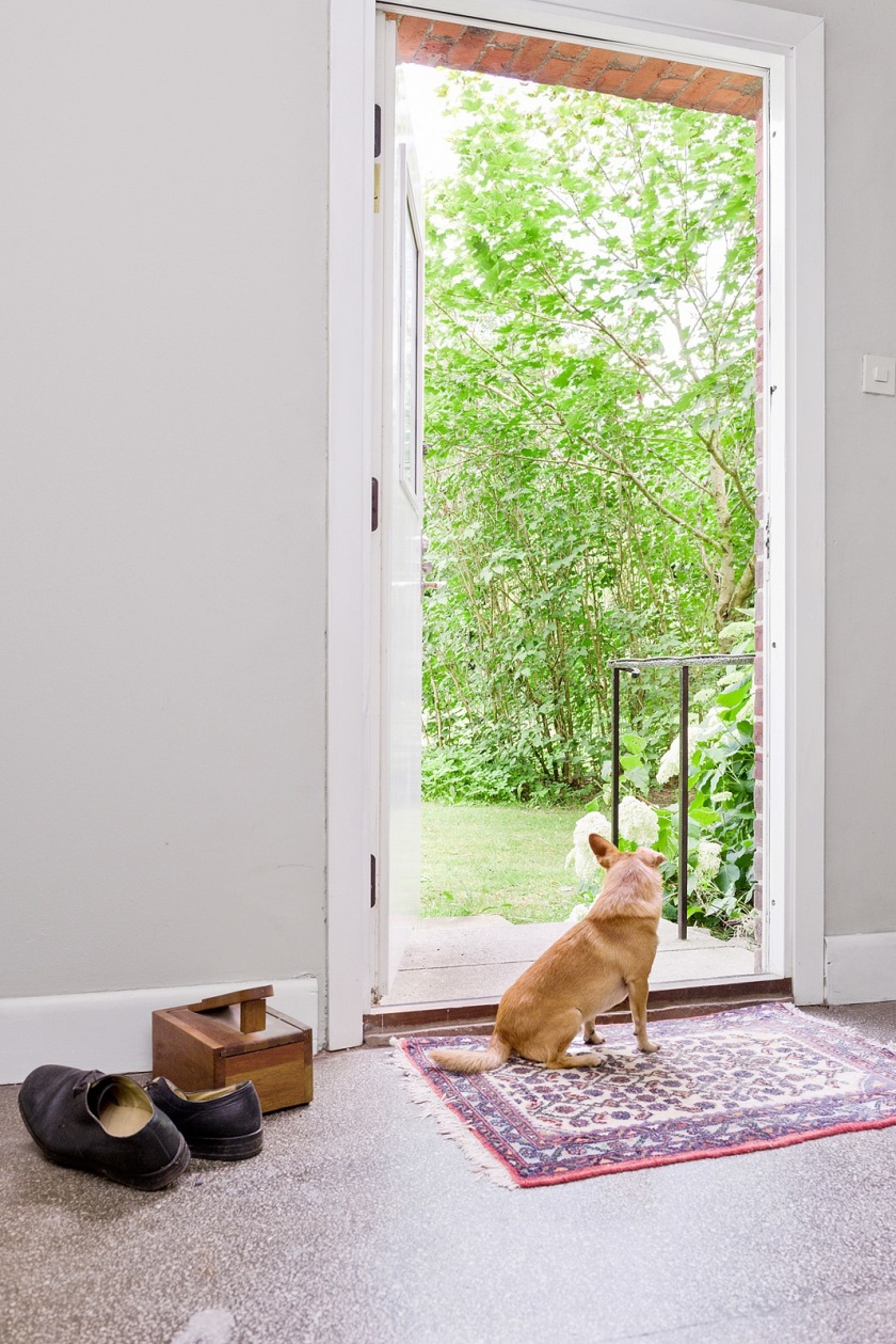 Utgång till stora trädgården på baksidan. Vi har låtit den klassiska skoltrapphus-känslan vara kvar i denna hallen. Utgång till stora trädgården på baksidan. Vi har låtit den klassiska skoltrapphus-känslan vara kvar i denna hallen.