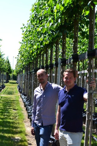 Victor Sundström & David Wiberg, Växtleverantörerna