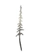 Dekorationsgranar - Stor Dekorationsgran 57cm