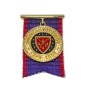 Medaljer - Minityrmedalj Officier