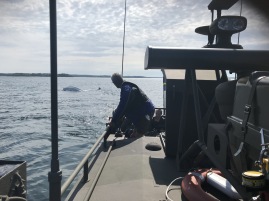 Havererad segelbåt på Idöfjärden. Havererad segelbåt på Idöfjärden.