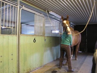 Stretch av framben, Louie gäspar och sträcker ut tungan - ett tecken på avslappning och att det är skööönt! Stretch av framben, Louie gäspar och sträcker ut tungan - ett tecken på avslappning och att det är skööönt!
