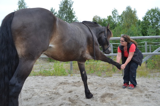 Stretching med Anna Karström. Foto: Angelica Hesselius Stretching med Anna Karström. Foto: Angelica Hesselius