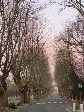Grez-sur-Loing, feb 2025