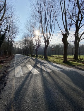 Vägen från Grez-sur-Loing, feb 2024