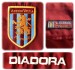 ASTON VILLAs förstatröja 2003 - 2004 detaljer