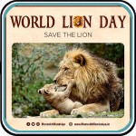 Film: World Lion Day