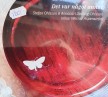 Stefan Ohlsson/Anna-Cari Jadling Ohlson:Det var något annat