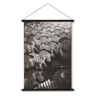 Kay Bojsesen, Zebra Foto 40x56 cm - Kay Bojsesen, Zebra Foto 40x56 cm