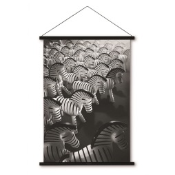 Kay Bojsesen, Zebra Foto 40x56 cm