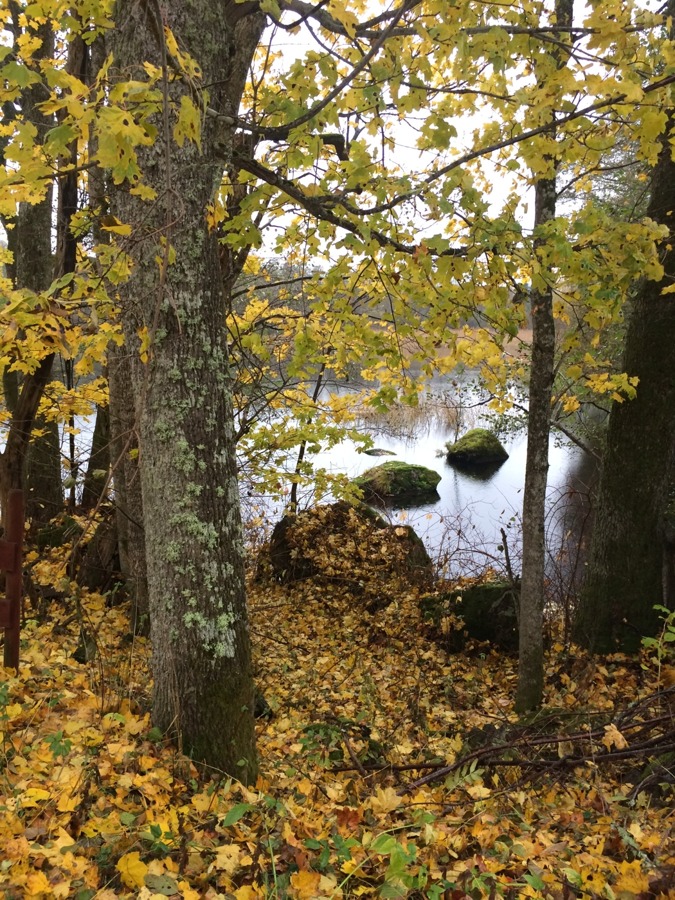Utbränd våga vara rädd utmattningsdepression utmattningsyndrom väggen Utbränd våga vara rädd utmattningsdepression utmattningsyndrom väggen
